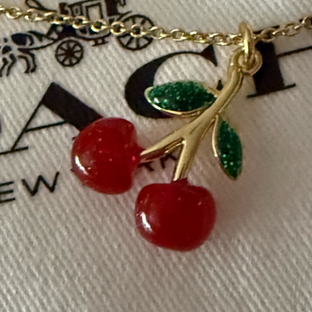 Coach cherry pendant necklace NWT JEWELRY POUCH - Picture 7 of 12